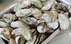 爱就爱了视频免费观看